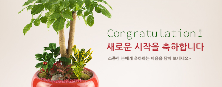 개업/이전