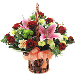 즐거운하루(크리스마스)