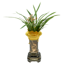 채홍